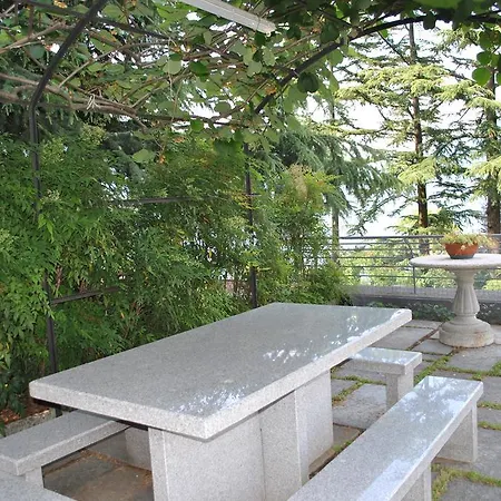 Ortensia * Oliveto Lario